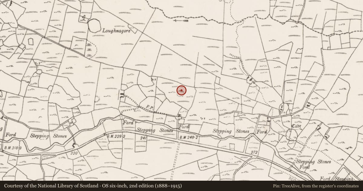 Ordnance Survey six-inch map, 2nd edition (1888–1915) covering the location of Hut site, Carrownaglogh, County Mayo, with a pin at the register's coordinates
