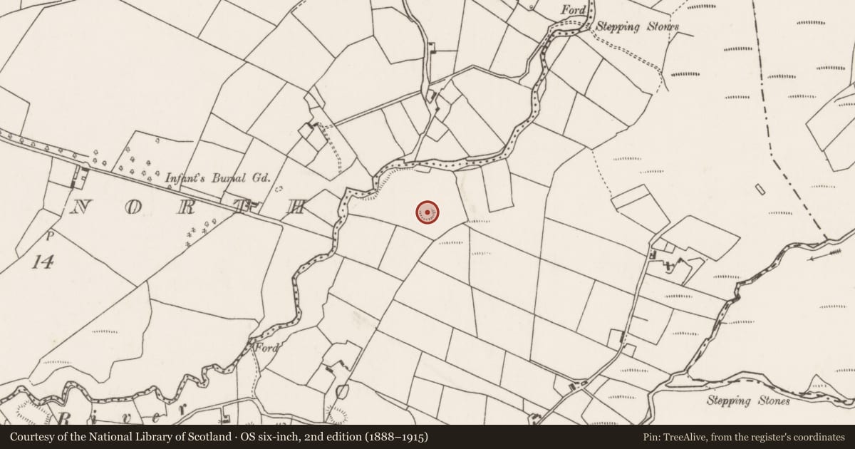 Ordnance Survey six-inch map, 2nd edition (1888–1915) covering the location of Ringfort - rath, Corimla South, County Mayo, with a pin at the register's coordinates