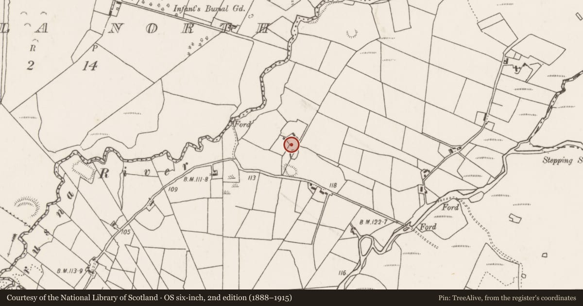Ordnance Survey six-inch map, 2nd edition (1888–1915) covering the location of Souterrain, Corimla South, County Mayo, with a pin at the register's coordinates