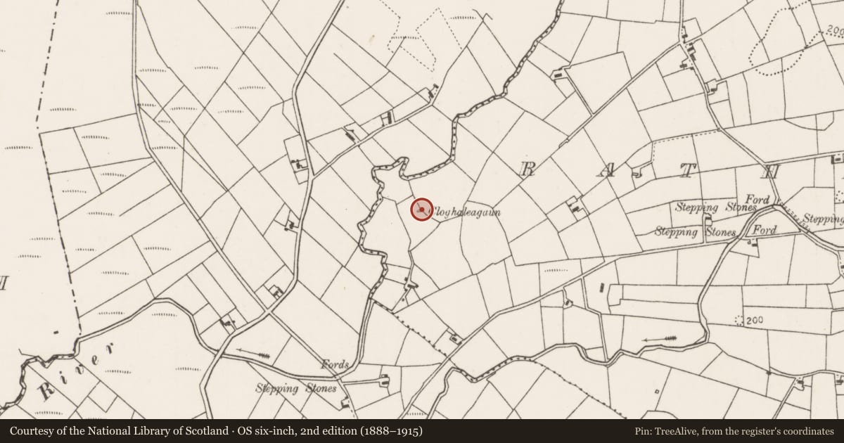 Ordnance Survey six-inch map, 2nd edition (1888–1915) covering the location of Standing stone, Rathreedaun, County Mayo, with a pin at the register's coordinates