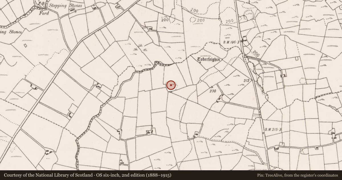 Ordnance Survey six-inch map, 2nd edition (1888–1915) covering the location of Ringfort - rath, Rathreedaun, County Mayo, with a pin at the register's coordinates
