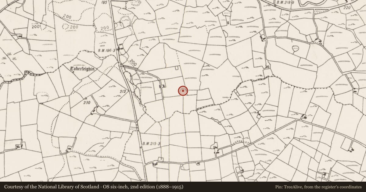 Ordnance Survey six-inch map, 2nd edition (1888–1915) covering the location of Ringfort - rath, Carrownaglogh, County Mayo, with a pin at the register's coordinates