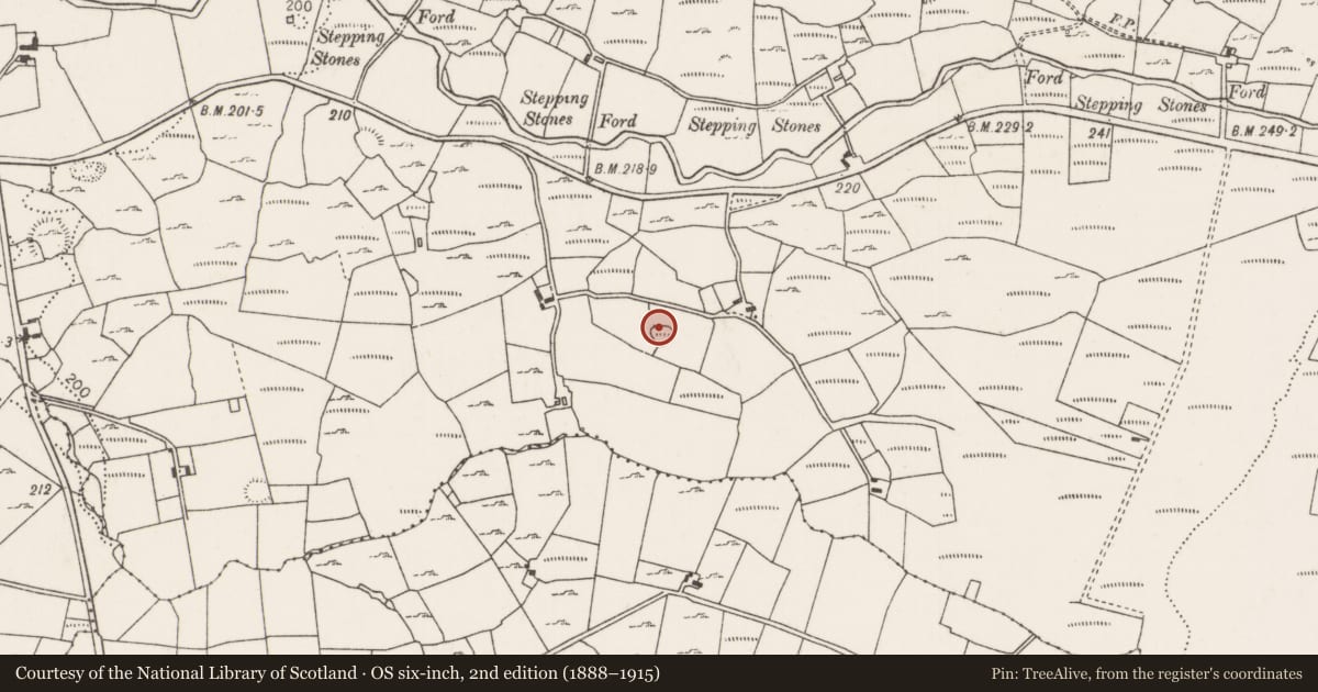 Ordnance Survey six-inch map, 2nd edition (1888–1915) covering the location of Enclosure, Carrownaglogh, County Mayo, with a pin at the register's coordinates