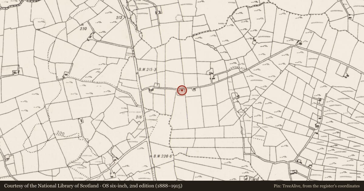 Ordnance Survey six-inch map, 2nd edition (1888–1915) covering the location of Ringfort - rath, Drumsheen, County Mayo, with a pin at the register's coordinates