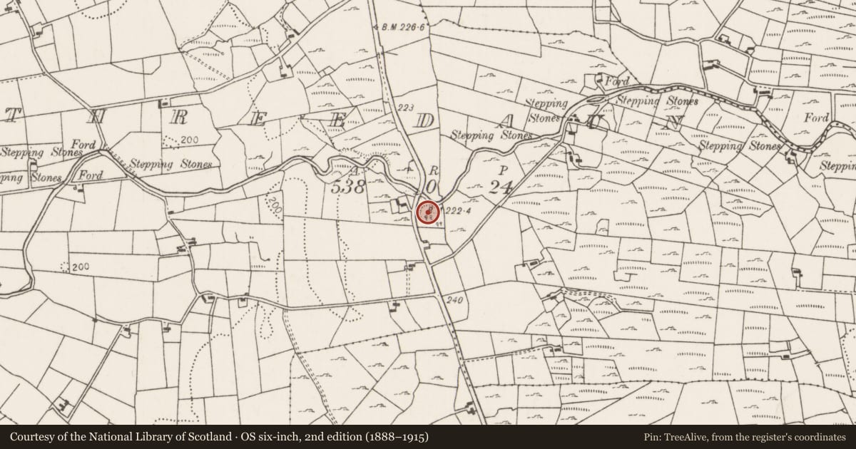 Ordnance Survey six-inch map, 2nd edition (1888–1915) covering the location of Ringfort - rath, Rathreedaun, County Mayo, with a pin at the register's coordinates