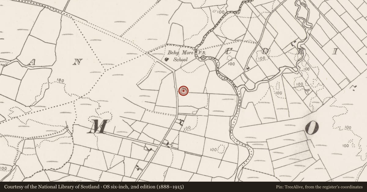 Ordnance Survey six-inch map, 2nd edition (1888–1915) covering the location of Ringfort - rath, Behy More, County Mayo, with a pin at the register's coordinates