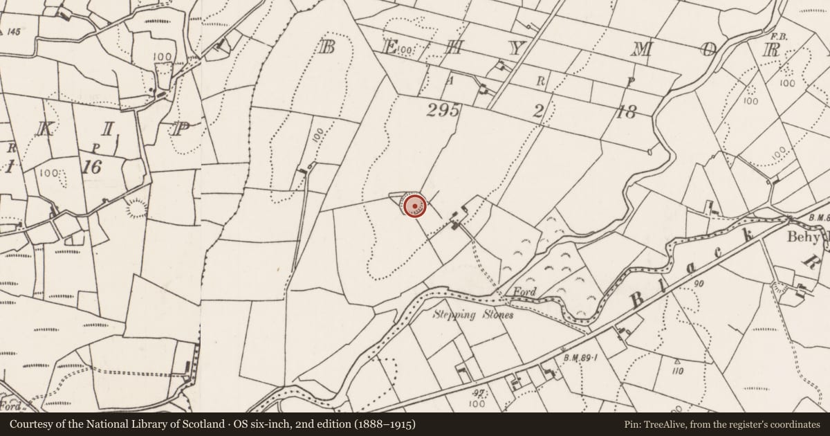 Ordnance Survey six-inch map, 2nd edition (1888–1915) covering the location of Ringfort - rath, Behy More, County Mayo, with a pin at the register's coordinates