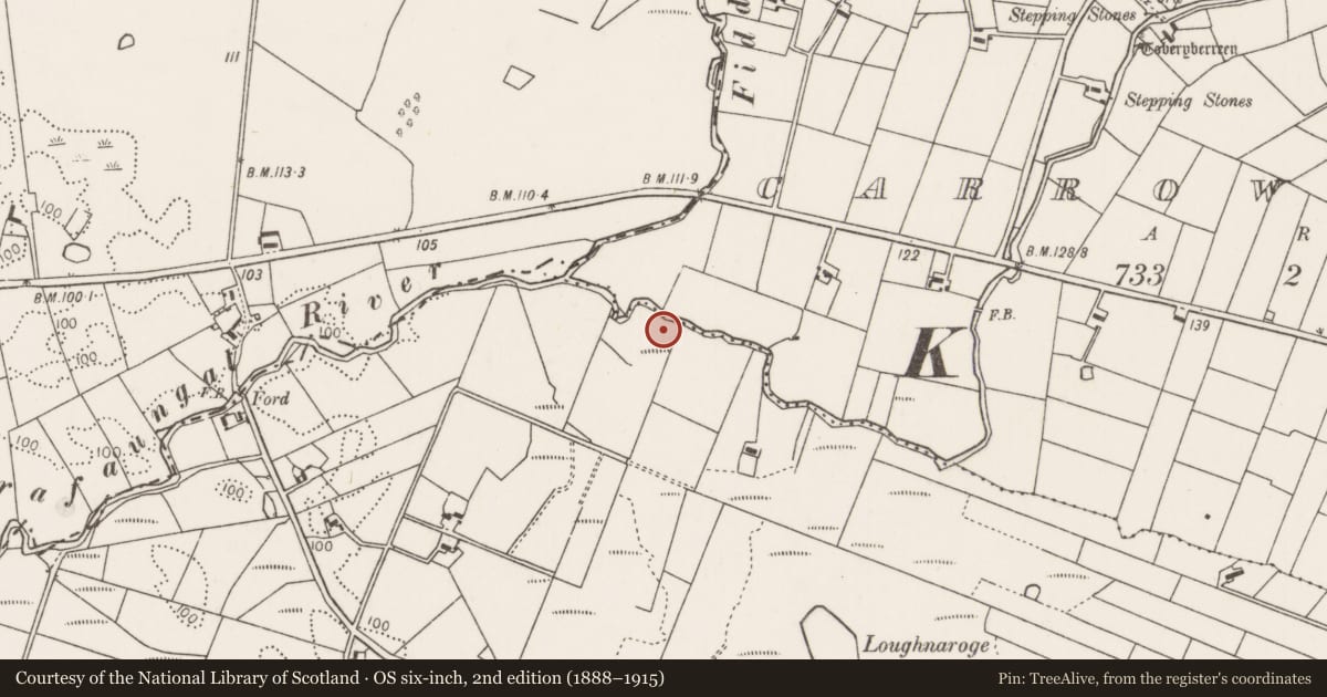 Ordnance Survey six-inch map, 2nd edition (1888–1915) covering the location of Megalithic tomb - passage tomb, Carrowreagh (Gallen By., Kilgarvan Par.), County Mayo, with a pin at the register's coordinates