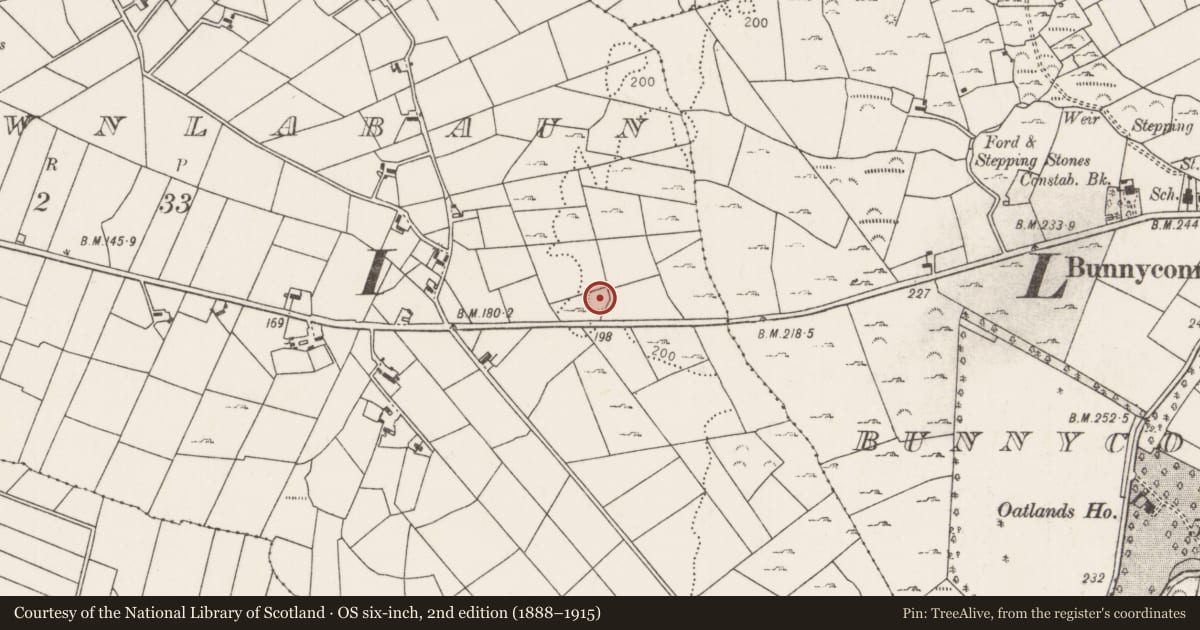 Ordnance Survey six-inch map, 2nd edition (1888–1915) covering the location of Ringfort - rath, Carrownlabaun, County Mayo, with a pin at the register's coordinates
