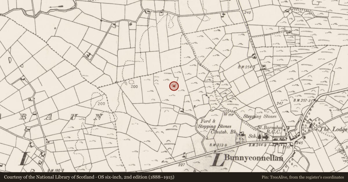 Ordnance Survey six-inch map, 2nd edition (1888–1915) covering the location of Enclosure, Bunnyconnellan West, County Mayo, with a pin at the register's coordinates