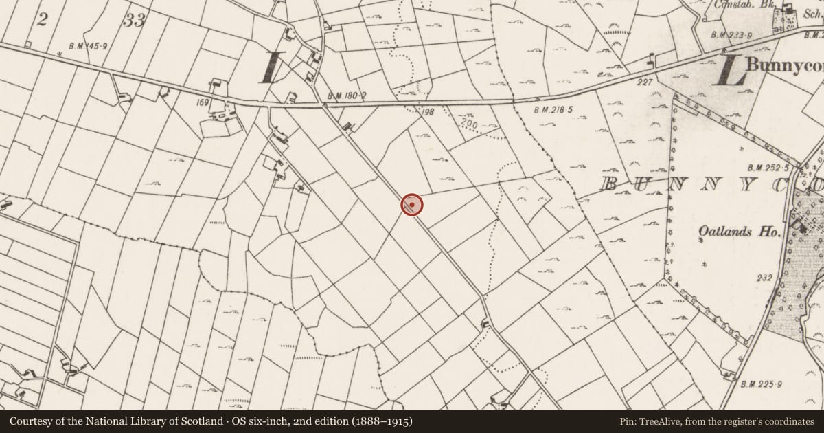 Ordnance Survey six-inch map, 2nd edition (1888–1915) covering the location of Standing stone, Carrownlabaun, County Mayo, with a pin at the register's coordinates