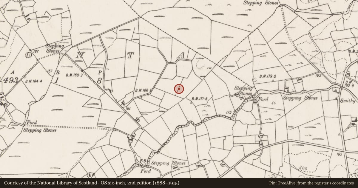 Ordnance Survey six-inch map, 2nd edition (1888–1915) covering the location of Souterrain, Cloonta, County Mayo, with a pin at the register's coordinates