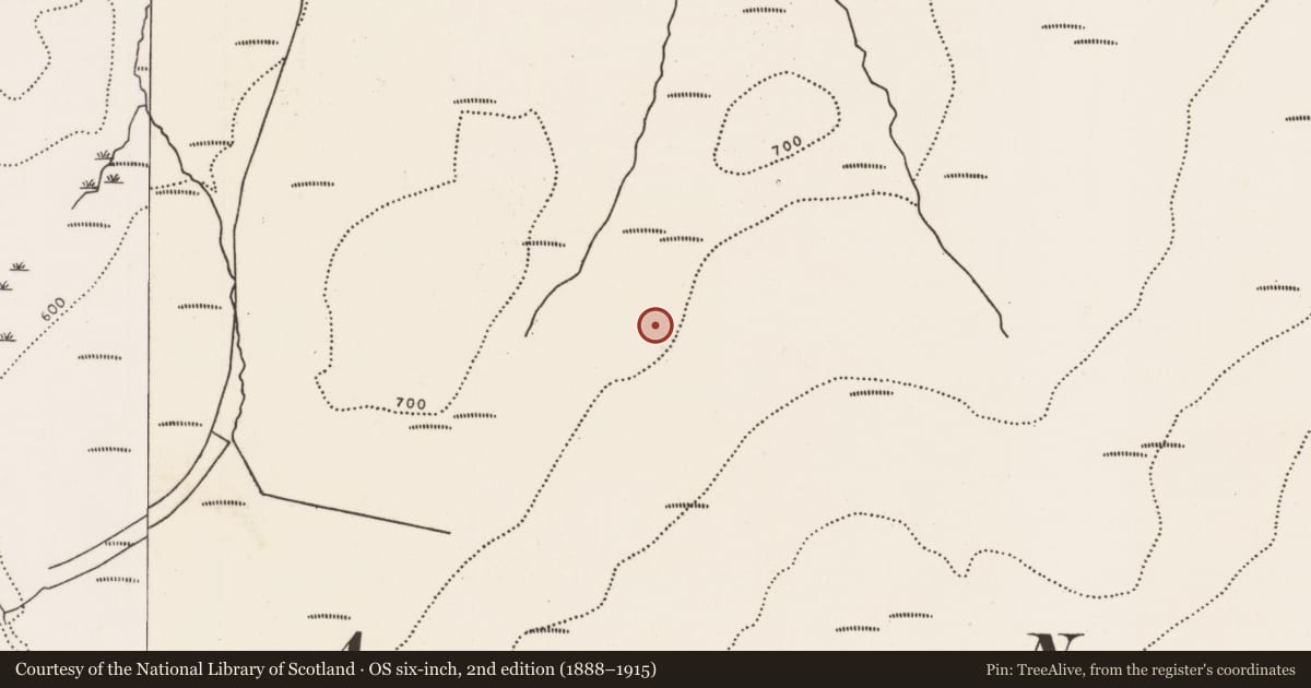 Ordnance Survey six-inch map, 2nd edition (1888–1915) covering the location of Megalithic tomb - court tomb, Carrownaglogh, County Mayo, with a pin at the register's coordinates