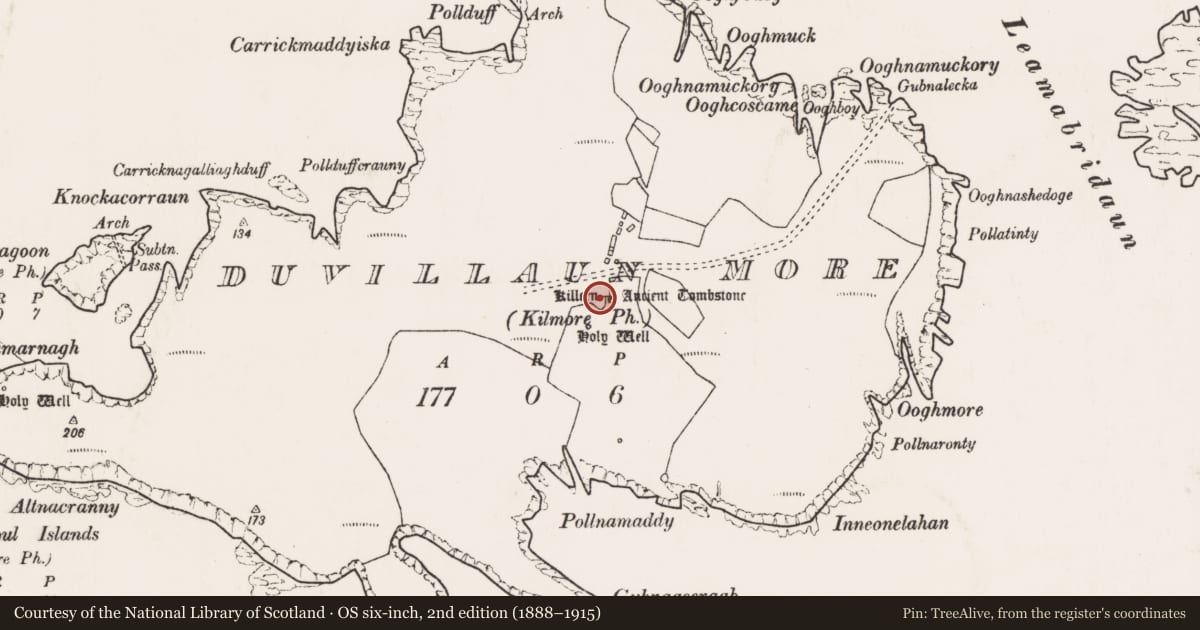 Ordnance Survey six-inch map, 2nd edition (1888–1915) covering the location of Ringfort - cashel, Dubhoileán Mór, County Mayo, with a pin at the register's coordinates