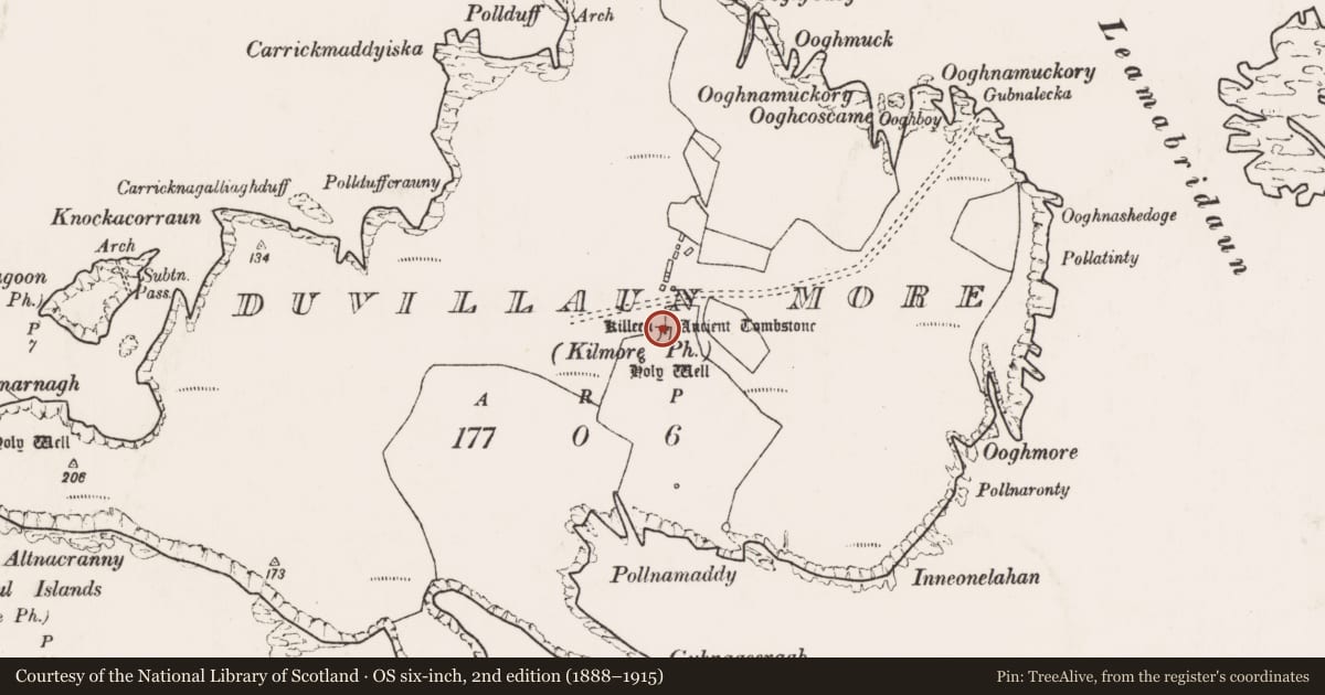 Ordnance Survey six-inch map, 2nd edition (1888–1915) covering the location of Slab-lined burial, Dubhoileán Mór, County Mayo, with a pin at the register's coordinates