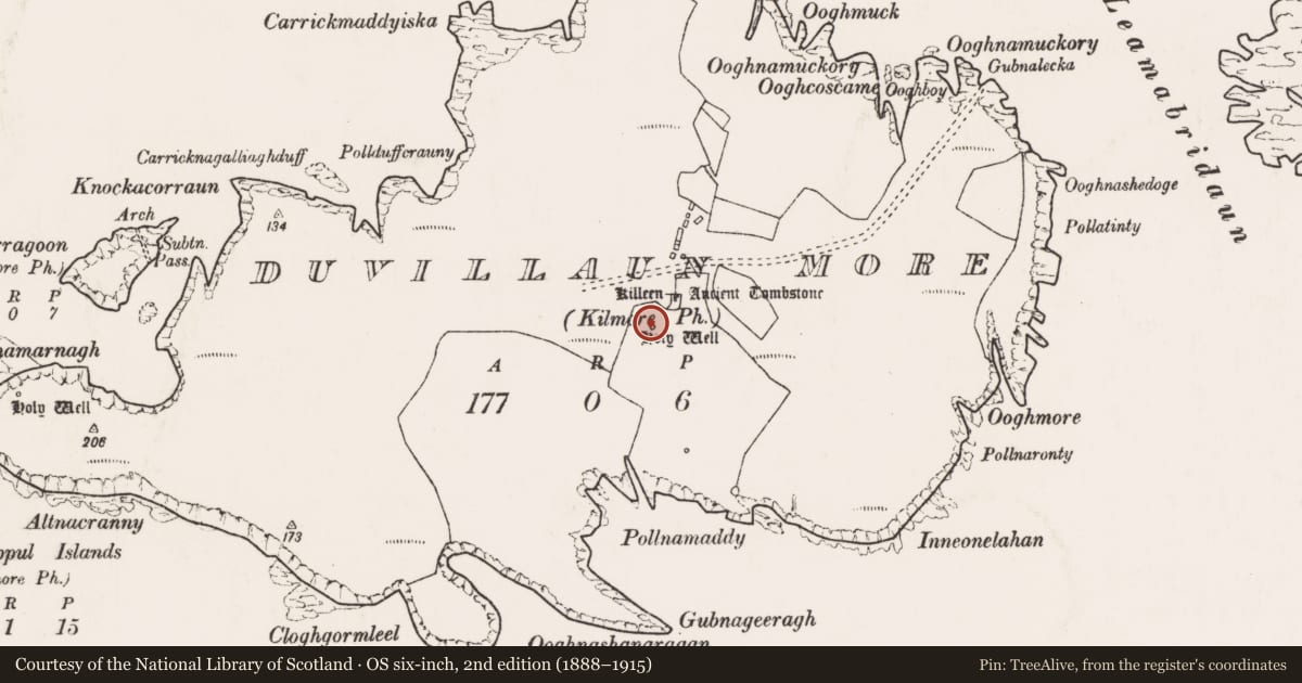 Ordnance Survey six-inch map, 2nd edition (1888–1915) covering the location of Ritual site - holy well, Dubhoileán Mór, County Mayo, with a pin at the register's coordinates