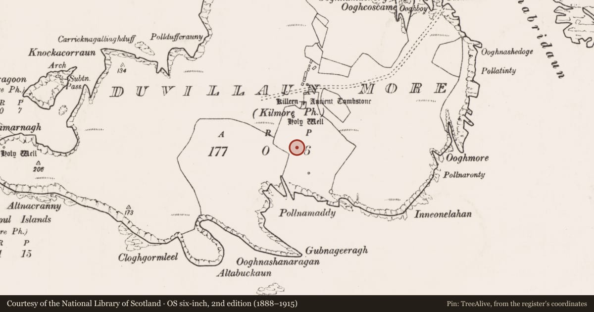 Ordnance Survey six-inch map, 2nd edition (1888–1915) covering the location of Structure, Dubhoileán Mór, County Mayo, with a pin at the register's coordinates
