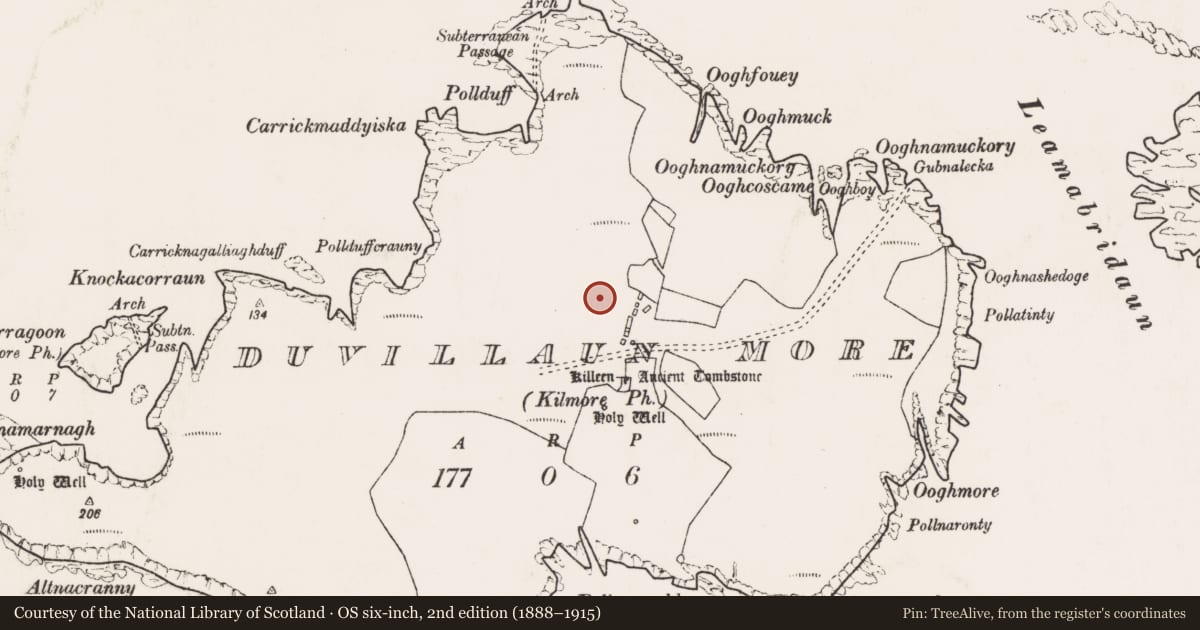 Ordnance Survey six-inch map, 2nd edition (1888–1915) covering the location of Anomalous stone group, Dubhoileán Mór, County Mayo, with a pin at the register's coordinates
