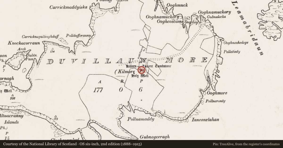 Ordnance Survey six-inch map, 2nd edition (1888–1915) covering the location of Anomalous stone group, Dubhoileán Mór, County Mayo, with a pin at the register's coordinates