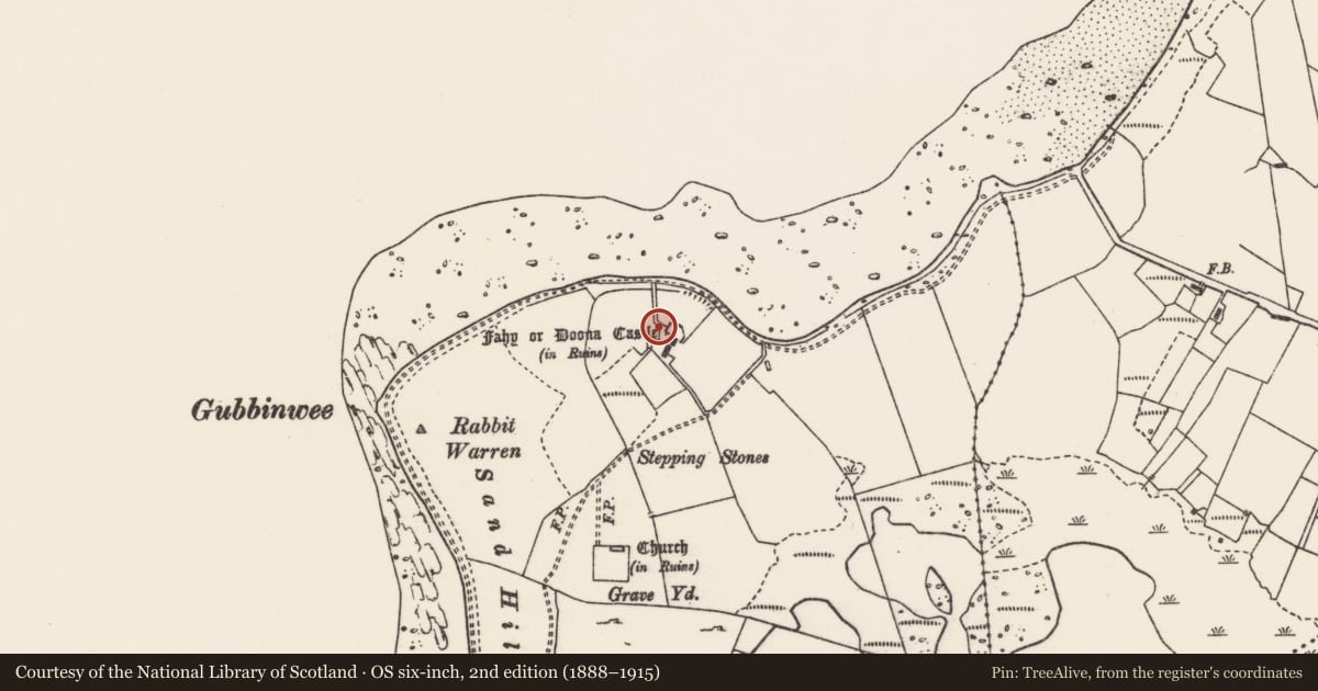 Ordnance Survey six-inch map, 2nd edition (1888–1915) covering the location of Castle - tower house, Fahy, County Mayo, with a pin at the register's coordinates
