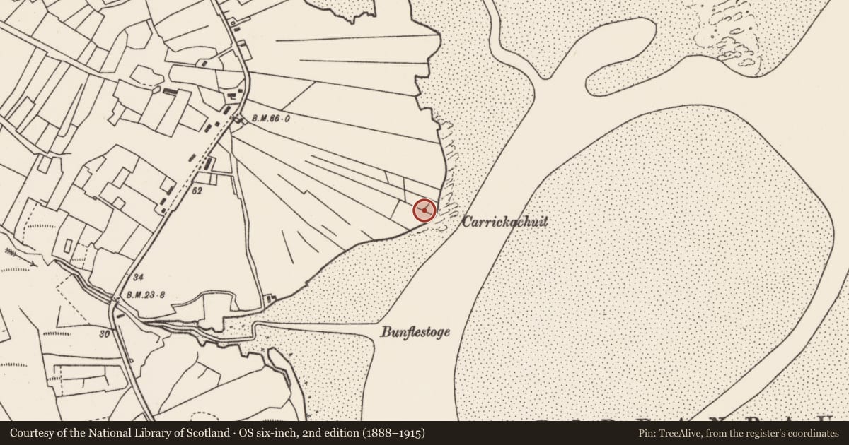Ordnance Survey six-inch map, 2nd edition (1888–1915) covering the location of Church, Tulachán Dubh, County Mayo, with a pin at the register's coordinates