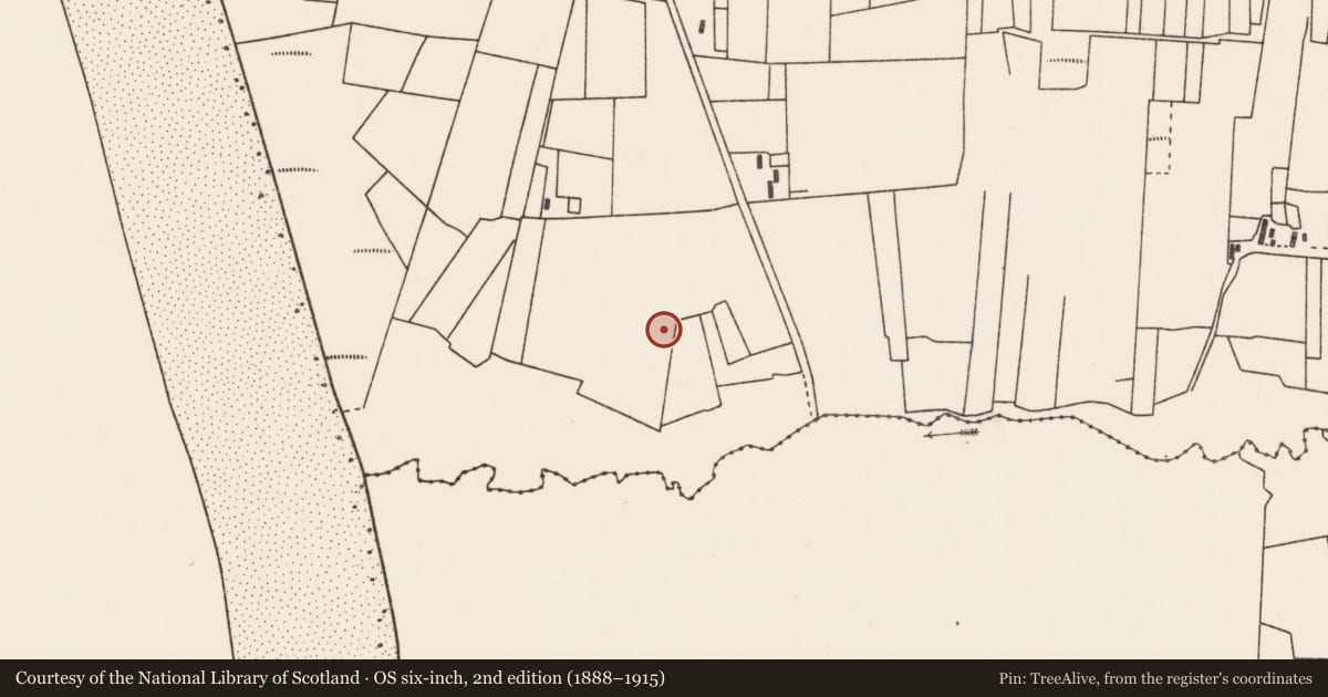 Ordnance Survey six-inch map, 2nd edition (1888–1915) covering the location of Ringfort - rath, An Ráith, County Mayo, with a pin at the register's coordinates
