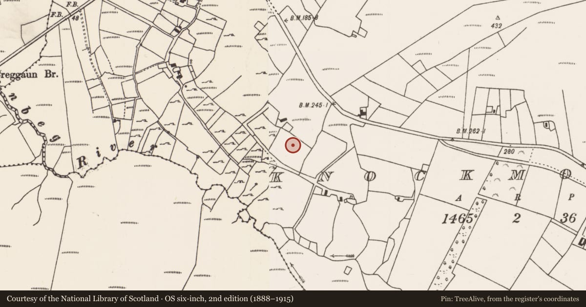 Ordnance Survey six-inch map, 2nd edition (1888–1915) covering the location of Enclosure, Knockmoyleen, County Mayo, with a pin at the register's coordinates