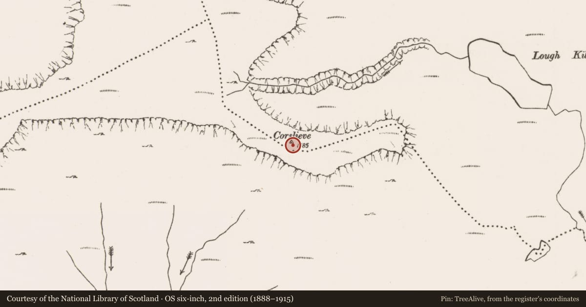 Ordnance Survey six-inch map, 2nd edition (1888–1915) covering the location of Cairn - unclassified, Altnabrocky, Owenduff, County Mayo, with a pin at the register's coordinates