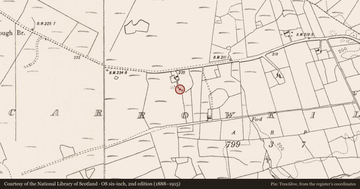 Ordnance Survey six-inch map, 2nd edition (1888–1915) covering the location of Megalithic tomb - court tomb, Carrowkilleen, County Mayo, with a pin at the register's coordinates