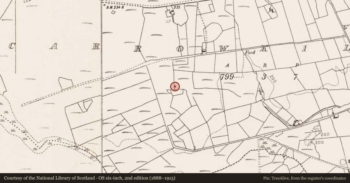 Ordnance Survey six-inch map, 2nd edition (1888–1915) covering the location of Field boundary, Carrowkilleen, County Mayo, with a pin at the register's coordinates