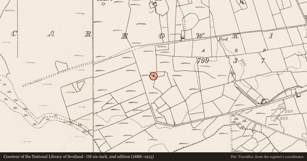 Ordnance Survey six-inch map, 2nd edition (1888–1915) covering the location of Standing stone, Carrowkilleen, County Mayo, with a pin at the register's coordinates
