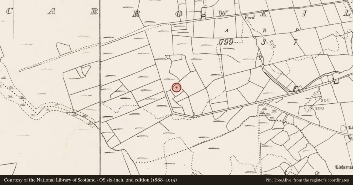 Ordnance Survey six-inch map, 2nd edition (1888–1915) covering the location of Standing stone, Carrowkilleen, County Mayo, with a pin at the register's coordinates