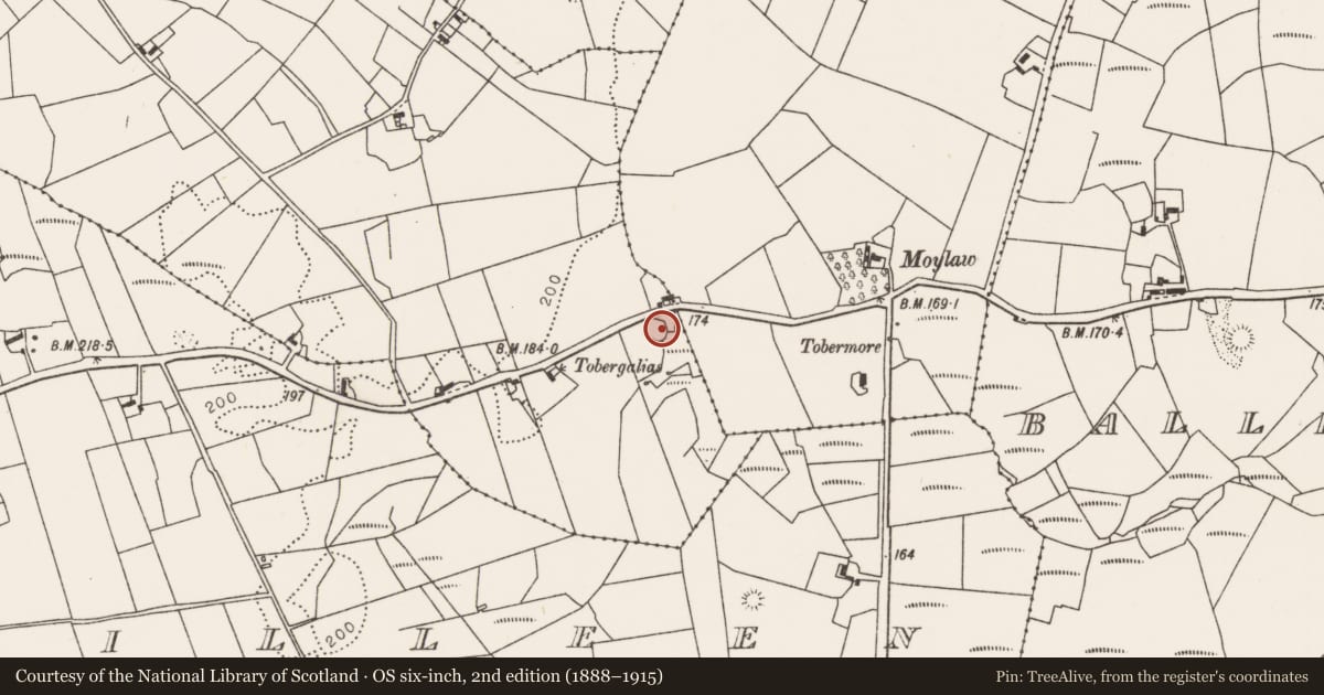 Ordnance Survey six-inch map, 2nd edition (1888–1915) covering the location of Ringfort - rath, Carrowkeel (Tirawley By., Crossmolina. Par.), County Mayo, with a pin at the register's coordinates