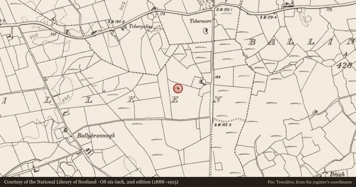 Ordnance Survey six-inch map, 2nd edition (1888–1915) covering the location of Ringfort - rath, Carrowkilleen, County Mayo, with a pin at the register's coordinates