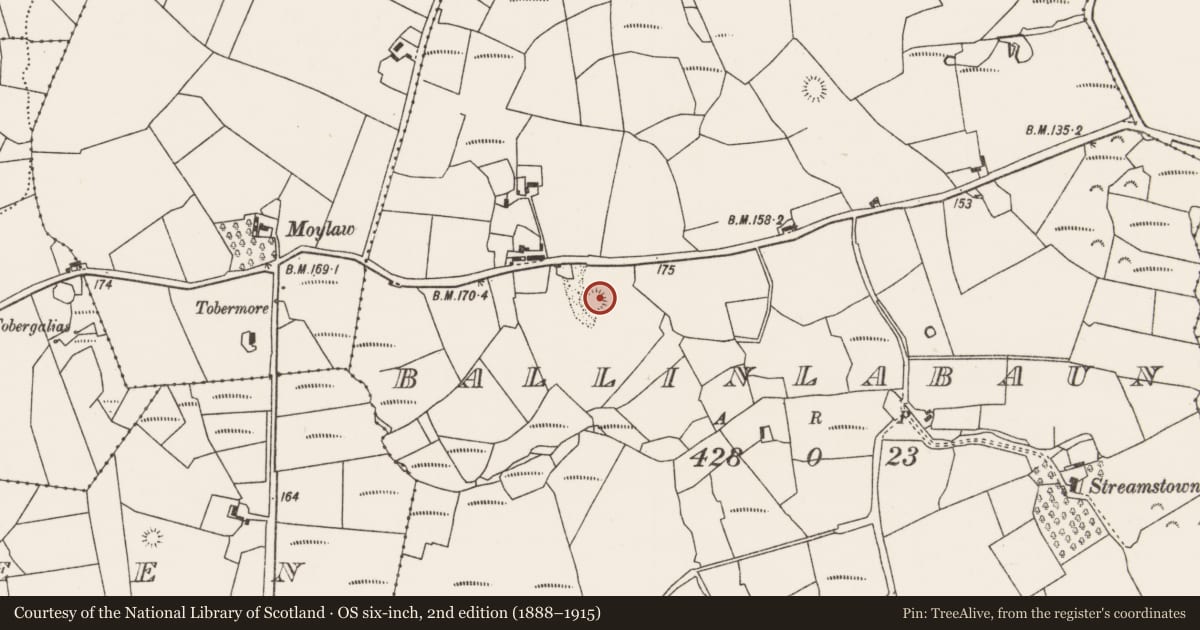 Ordnance Survey six-inch map, 2nd edition (1888–1915) covering the location of Ringfort - rath, Ballinlabaun, County Mayo, with a pin at the register's coordinates