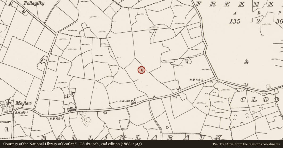 Ordnance Survey six-inch map, 2nd edition (1888–1915) covering the location of Ringfort - rath, Ballinlabaun, County Mayo, with a pin at the register's coordinates