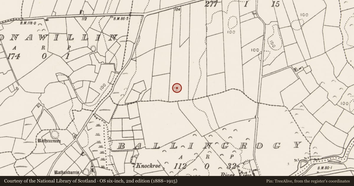 Ordnance Survey six-inch map, 2nd edition (1888–1915) covering the location of Barrow - embanked barrow, Lecarrow (Tirawley By., Crossmolina Par.), County Mayo, with a pin at the register's coordinates