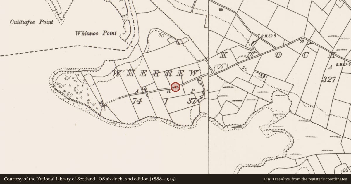 Ordnance Survey six-inch map, 2nd edition (1888–1915) covering the location of Enclosure, Wherrew, County Mayo, with a pin at the register's coordinates