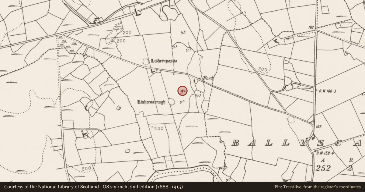 Ordnance Survey six-inch map, 2nd edition (1888–1915) covering the location of Ringfort - rath, Carrowkilleen, County Mayo, with a pin at the register's coordinates