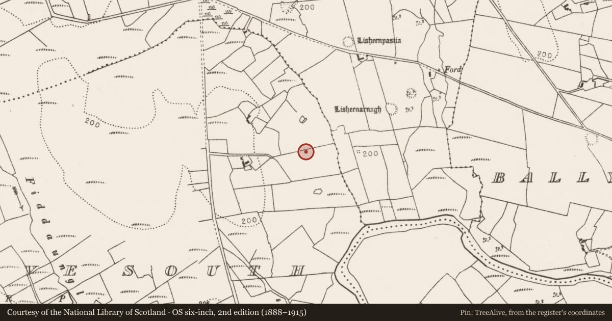 Ordnance Survey six-inch map, 2nd edition (1888–1915) covering the location of Megalithic tomb - wedge tomb, Carrowgarve South, County Mayo, with a pin at the register's coordinates