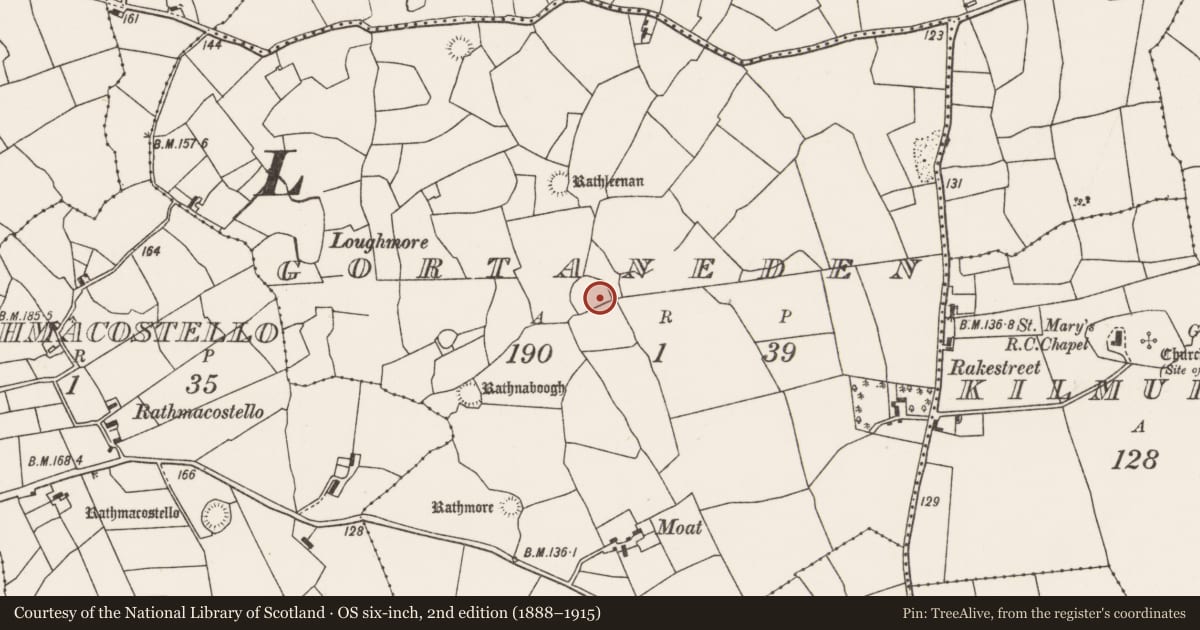 Ordnance Survey six-inch map, 2nd edition (1888–1915) covering the location of Ringfort - rath, Gortaneden, County Mayo, with a pin at the register's coordinates