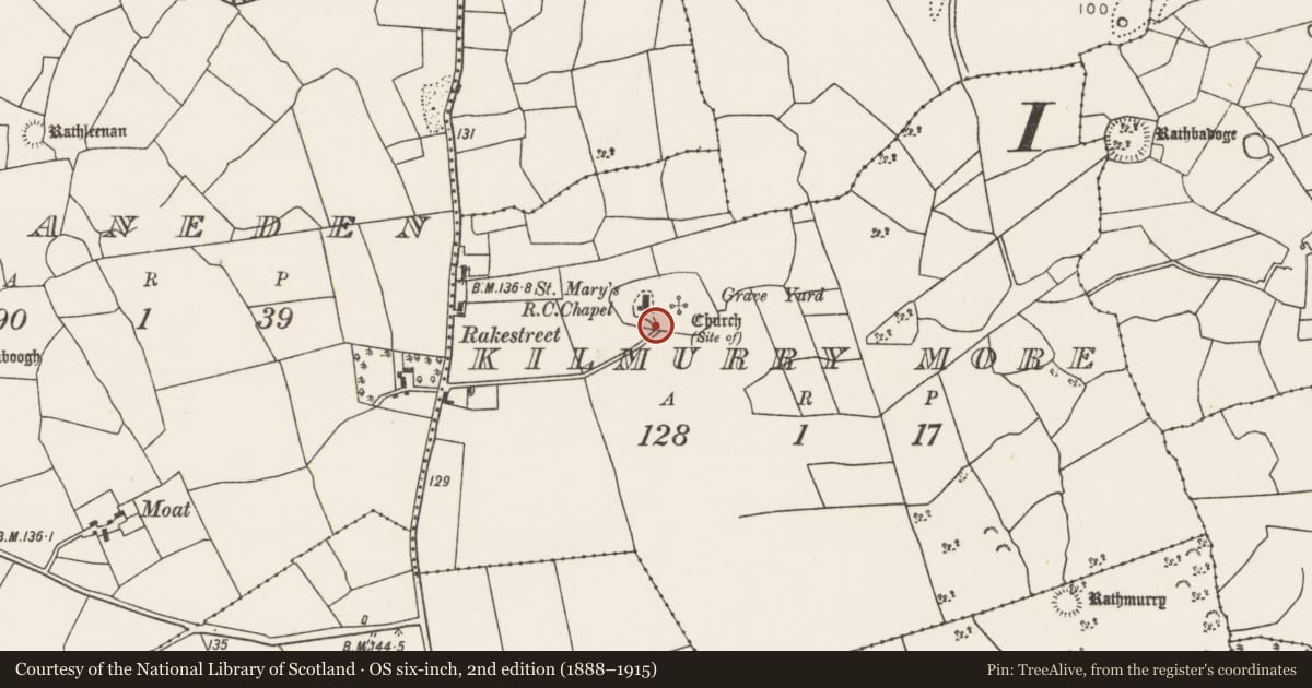 Ordnance Survey six-inch map, 2nd edition (1888–1915) covering the location of Stone head, Kilmurry More, County Mayo, with a pin at the register's coordinates