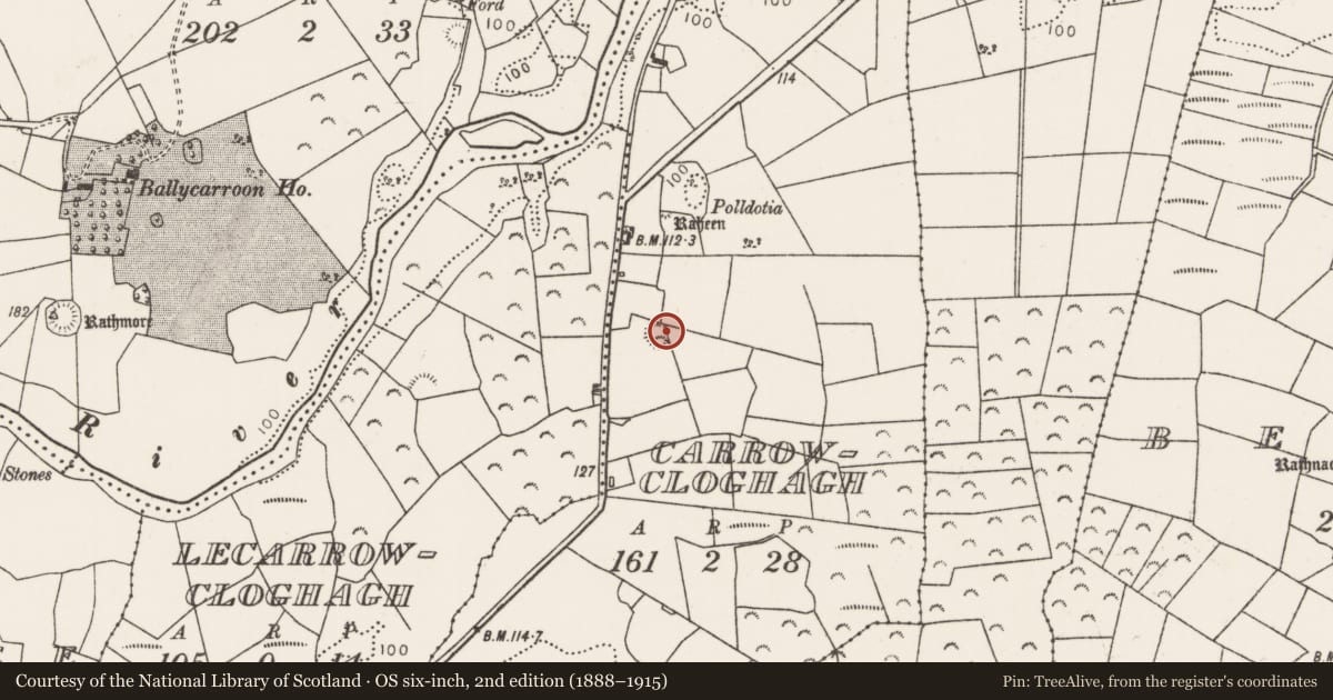 Ordnance Survey six-inch map, 2nd edition (1888–1915) covering the location of Barrow - ring-barrow, Carrowcloghagh, County Mayo, with a pin at the register's coordinates