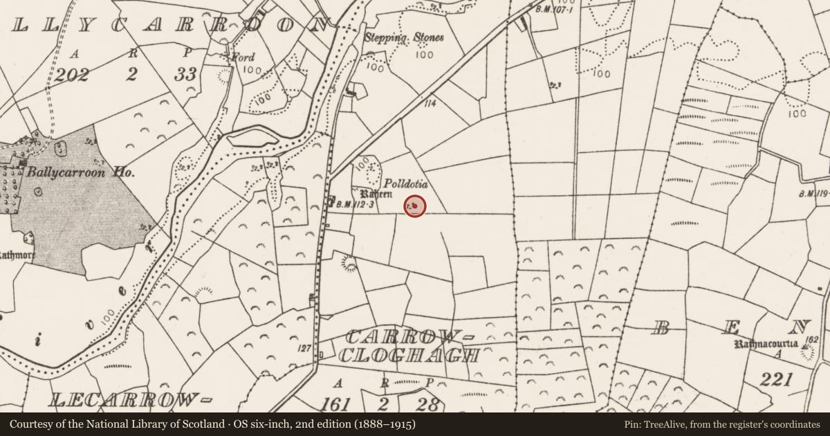 Ordnance Survey six-inch map, 2nd edition (1888–1915) covering the location of Barrow - ring-barrow, Carrowcloghagh, County Mayo, with a pin at the register's coordinates