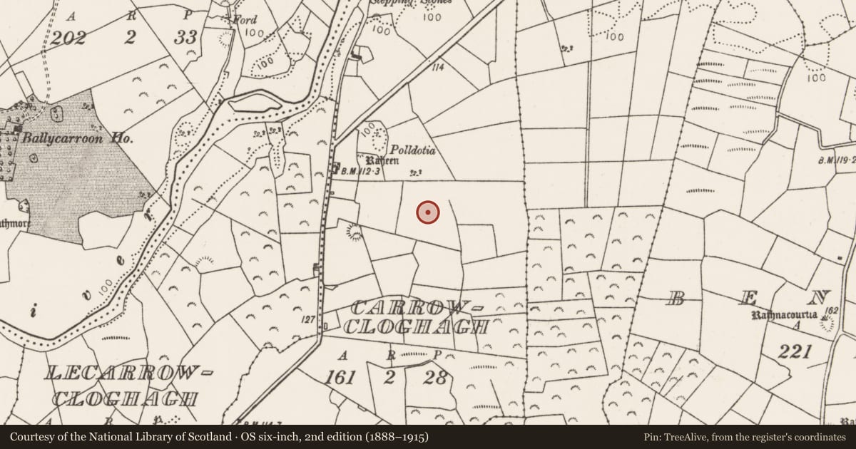 Ordnance Survey six-inch map, 2nd edition (1888–1915) covering the location of Cairn - unclassified, Carrowcloghagh, County Mayo, with a pin at the register's coordinates
