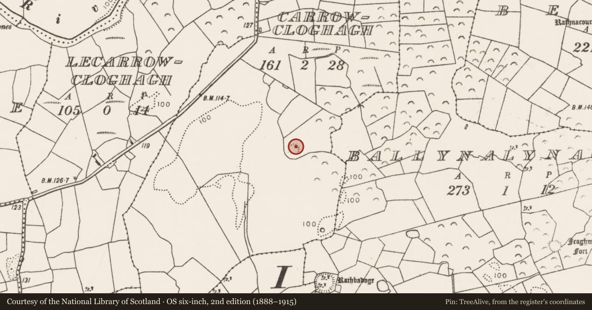 Ordnance Survey six-inch map, 2nd edition (1888–1915) covering the location of Ringfort - rath, Carrowcloghagh, County Mayo, with a pin at the register's coordinates
