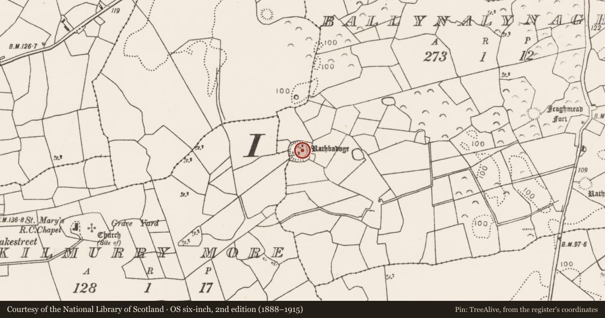Ordnance Survey six-inch map, 2nd edition (1888–1915) covering the location of Ringfort - rath, Ballynalynagh, County Mayo, with a pin at the register's coordinates