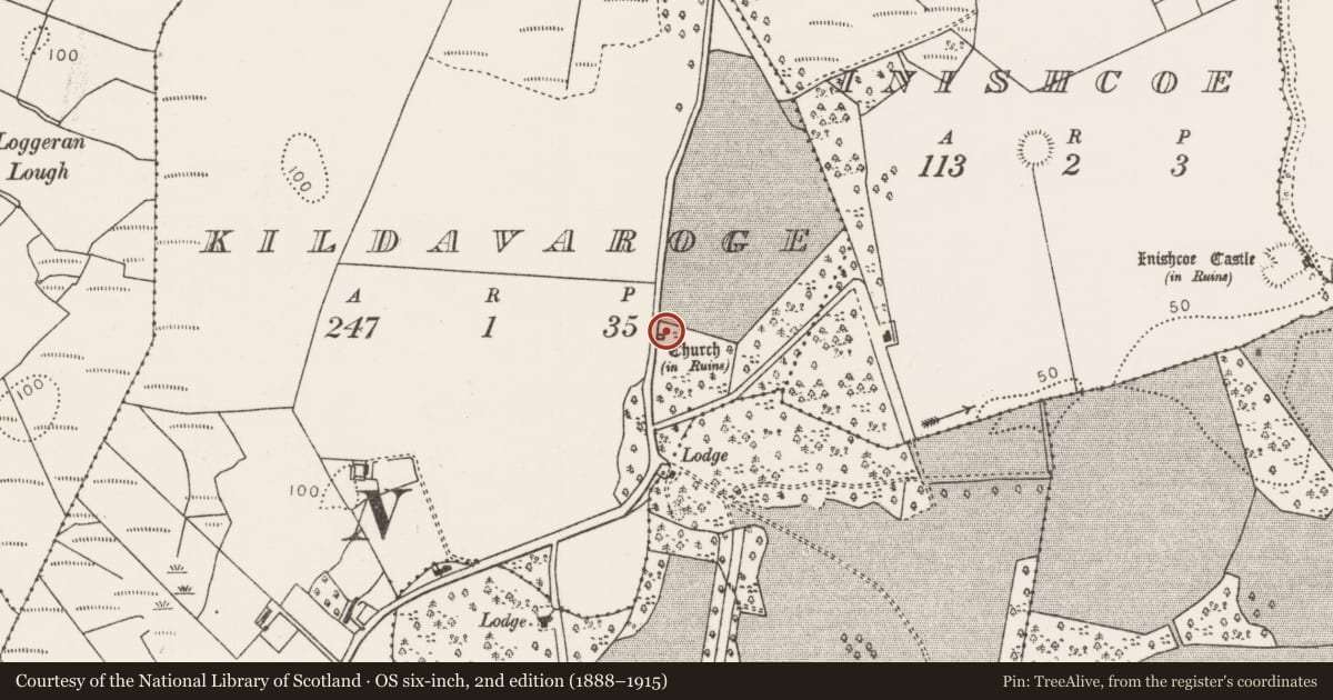 Ordnance Survey six-inch map, 2nd edition (1888–1915) covering the location of Graveyard, Kildavaroge, County Mayo, with a pin at the register's coordinates
