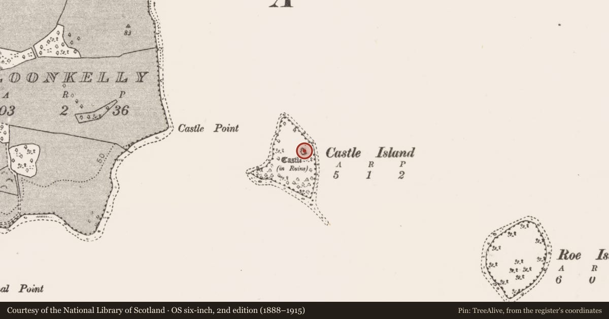 Ordnance Survey six-inch map, 2nd edition (1888–1915) covering the location of Castle - unclassified, Castle Island, County Mayo, with a pin at the register's coordinates