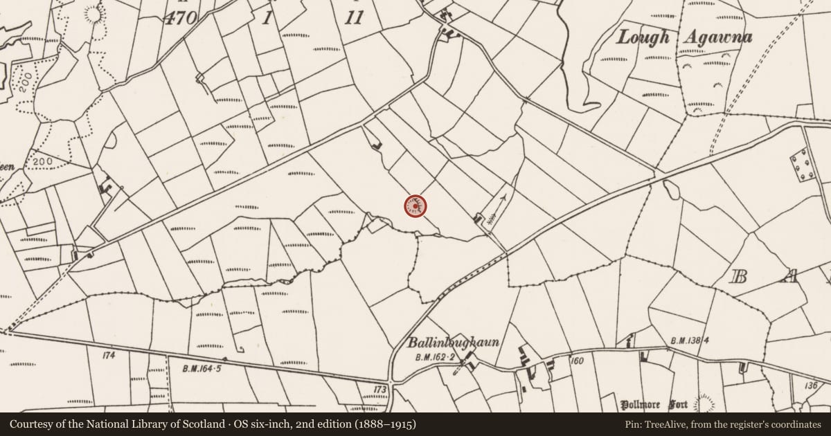 Ordnance Survey six-inch map, 2nd edition (1888–1915) covering the location of Ringfort - rath, Creevy, County Mayo, with a pin at the register's coordinates